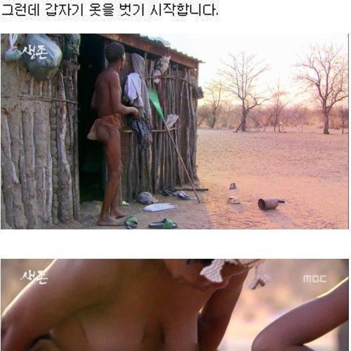 원시부족의 현실.jpg