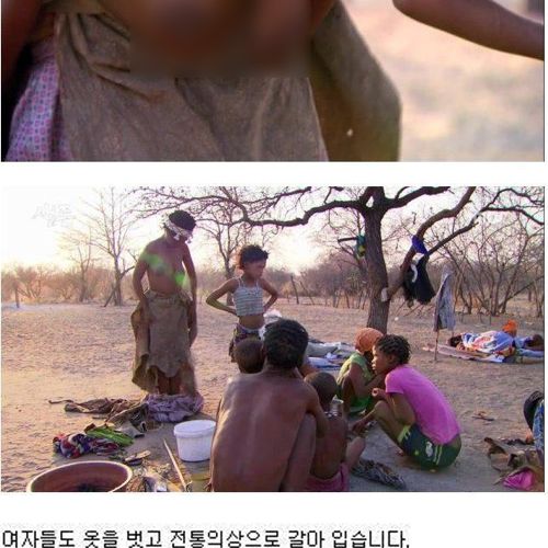 원시부족의 현실.jpg