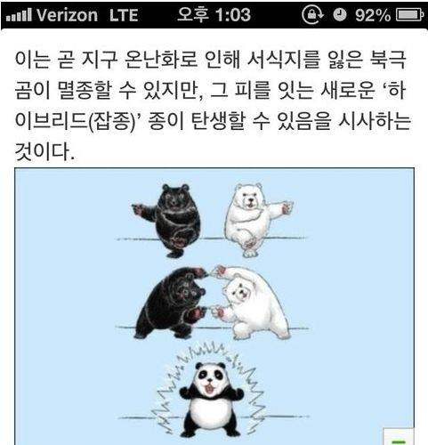 약빨고 쓴 기사