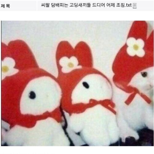 디씨인의 담배피는 청소년혼내기