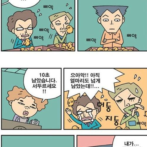 병아리감별사.jpg