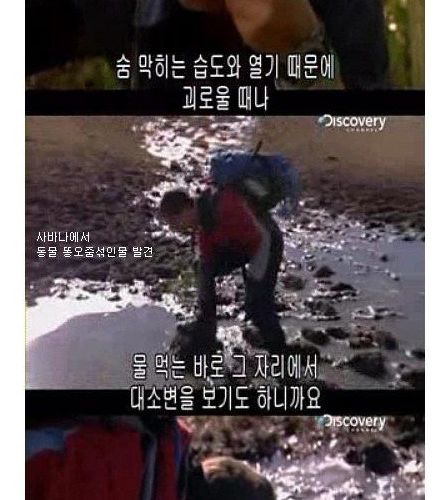 정글의 법칙 베어그릴스 드립