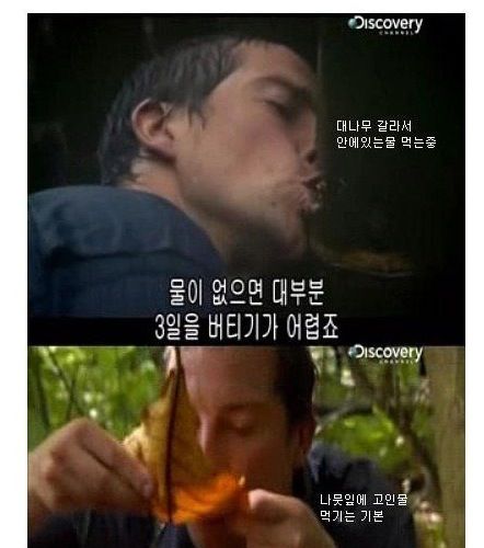 정글의 법칙 베어그릴스 드립