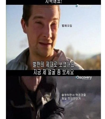 정글의 법칙 베어그릴스 드립