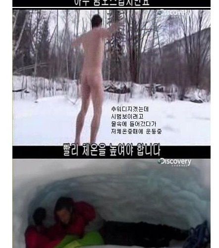 정글의 법칙 베어그릴스 드립