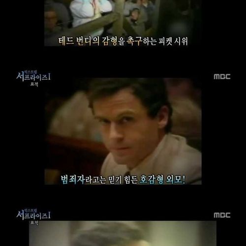 살인범이 인기를 끈 실제사건.jpg