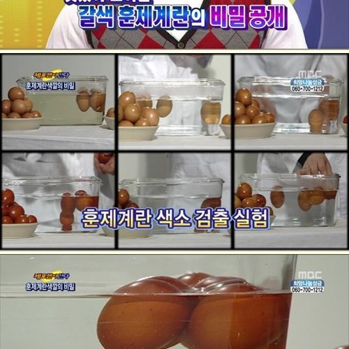 훈제계란의 비밀.jpg