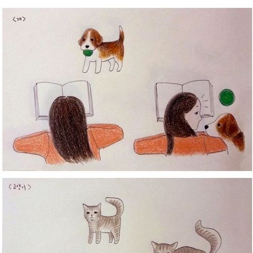 개와 고양이의 차이점.jpg