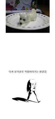 헤헷 이제 나도 미대생임