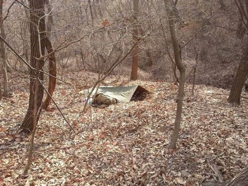 어느 디씨인의 솔로 캠핑