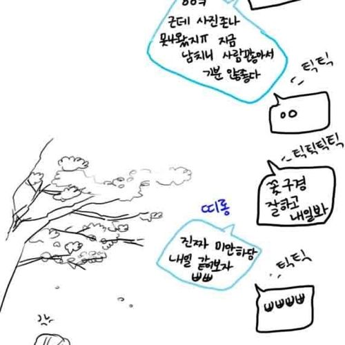 [스압]벚꽃구경하는만화.jpg