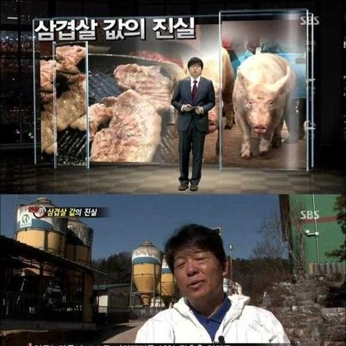 [스압]삼겹살 값의 진실.jpg