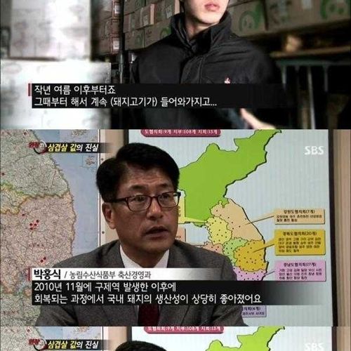 [스압]삼겹살 값의 진실.jpg