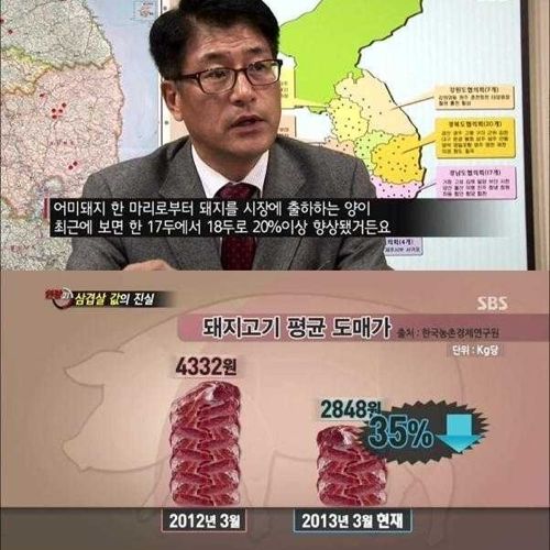 [스압]삼겹살 값의 진실.jpg