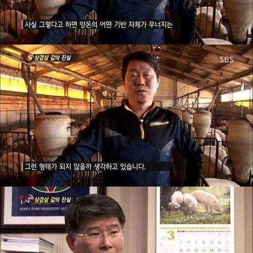 [스압]삼겹살 값의 진실.jpg