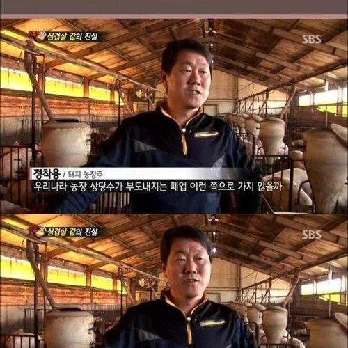 [스압]삼겹살 값의 진실.jpg