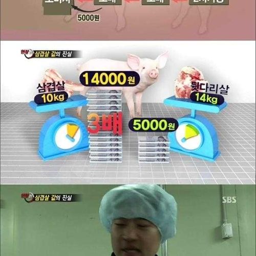 [스압]삼겹살 값의 진실.jpg