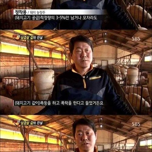 [스압]삼겹살 값의 진실.jpg