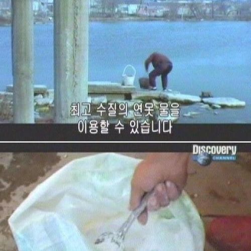 대륙의 두부.jpg