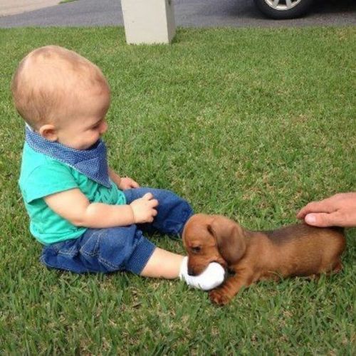 [주의]개한테 다리물린 아기.jpg