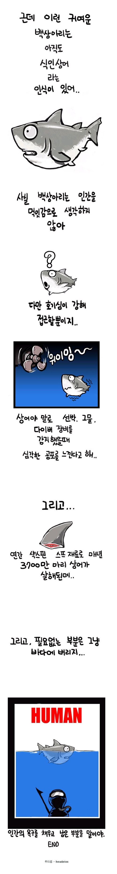 [스압]백상아리의 진실.jpg