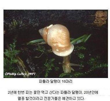 동물 개체수.jpg