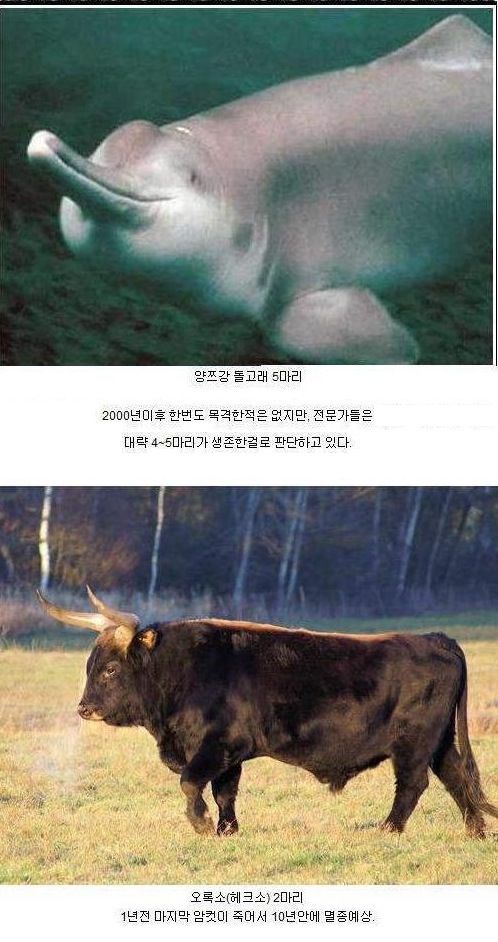 동물 개체수.jpg