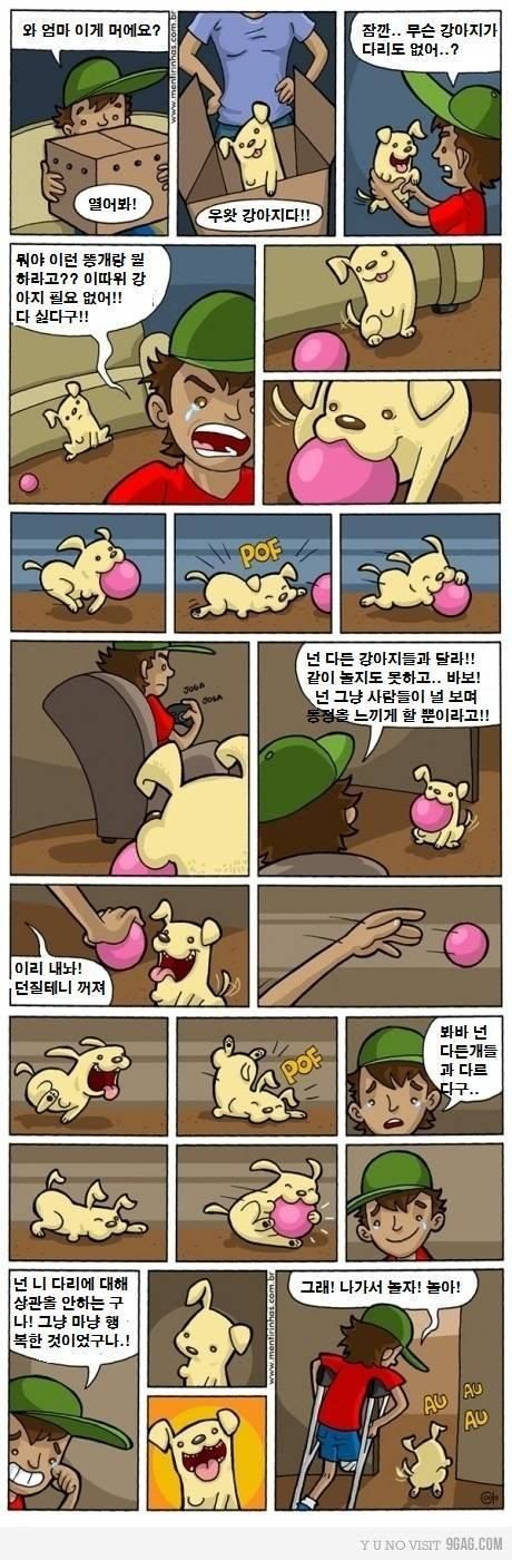 강아지가 주는 감동.jpg