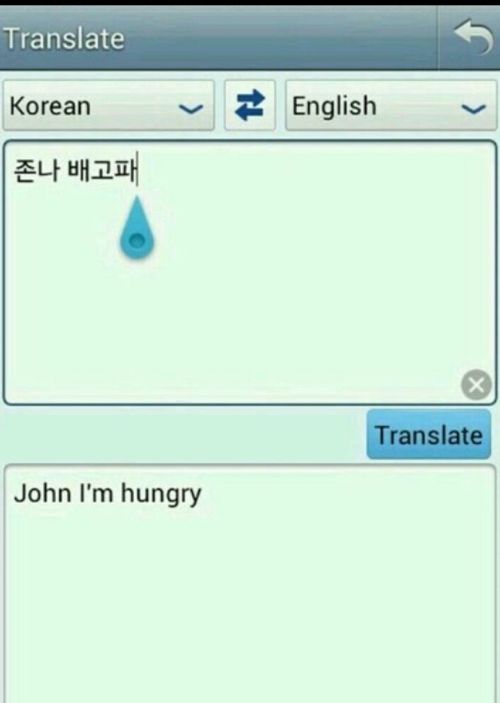 완벽한 번역