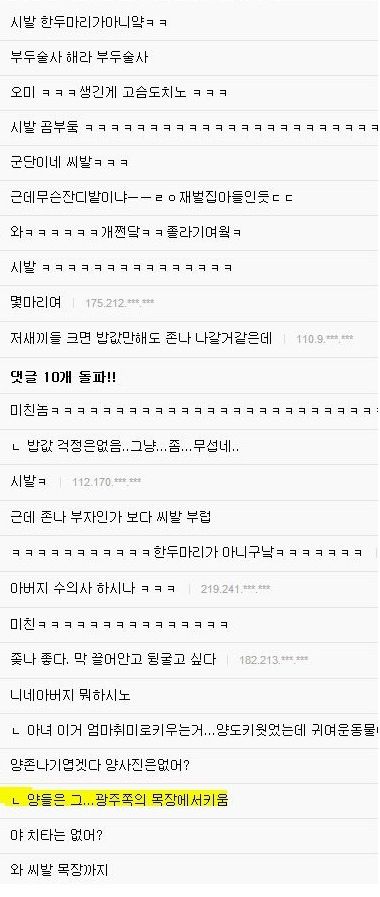 고갤러의 흔한 애완동물.jpg