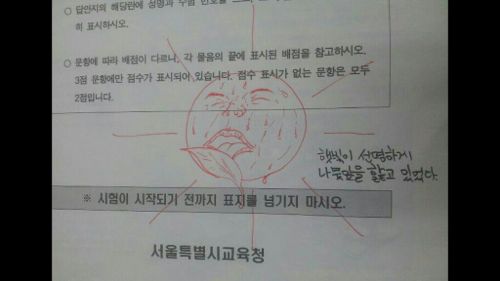 햇빛이 선명하게 나무를 핥고 있었다