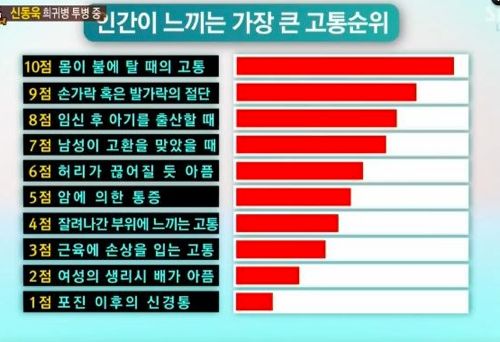 인간이 느끼는  가장 큰 고통순위