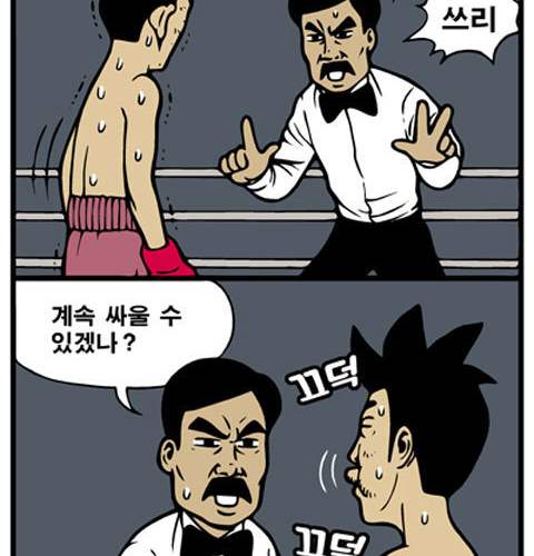 권투.webtoon