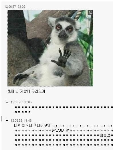 여초사이트의 깨알 댓글들