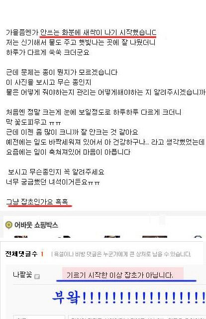 식물갤 명대사.jpg