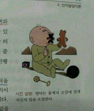 인지발달의 단계?