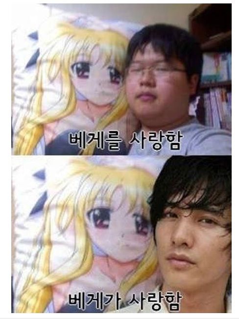 인간과 베게의 사랑.jpg