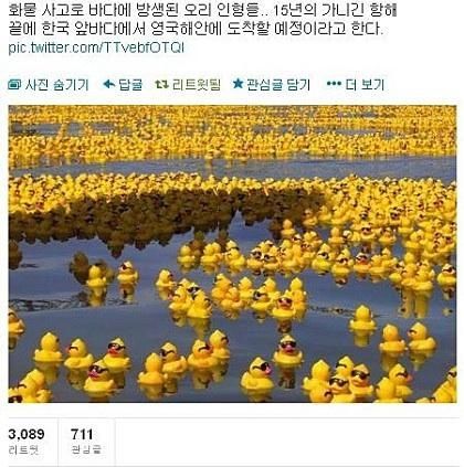 한국에서 영국까지 여행중인 오리떼