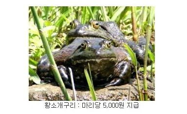 신개념 알바.jpg