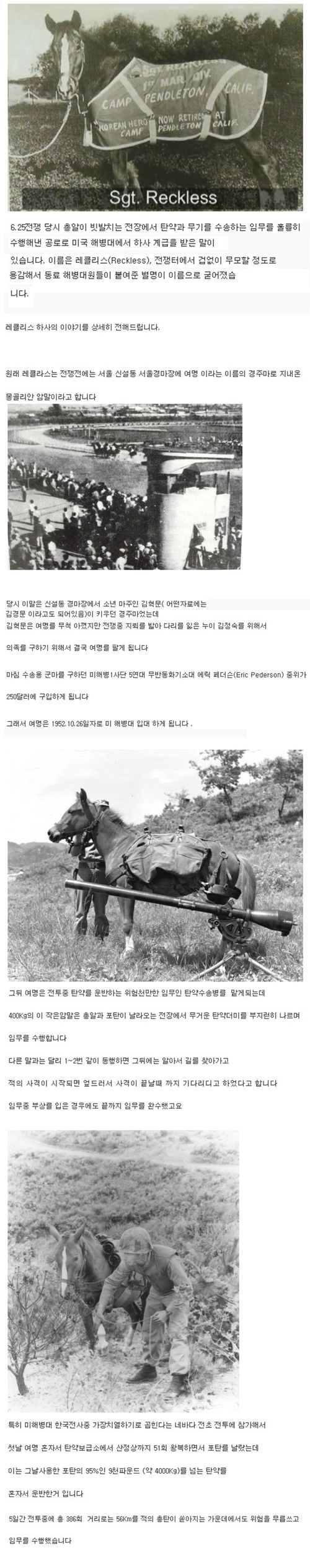 미국 해병대 최초의 말