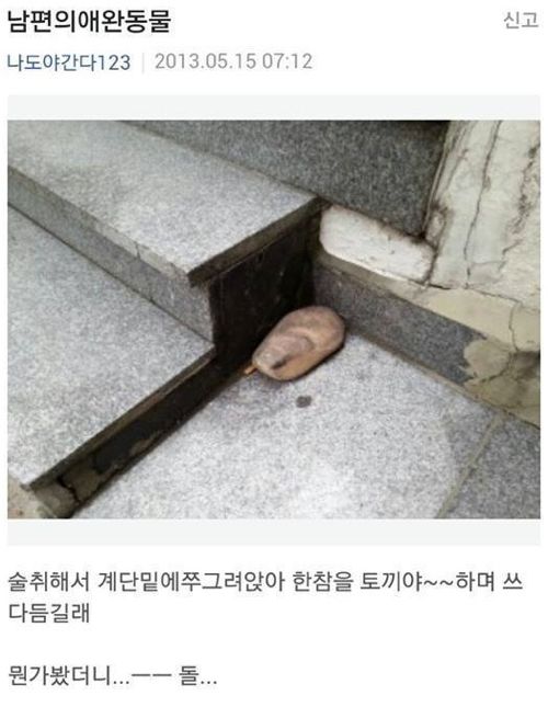 남편의 애완동물.jpg