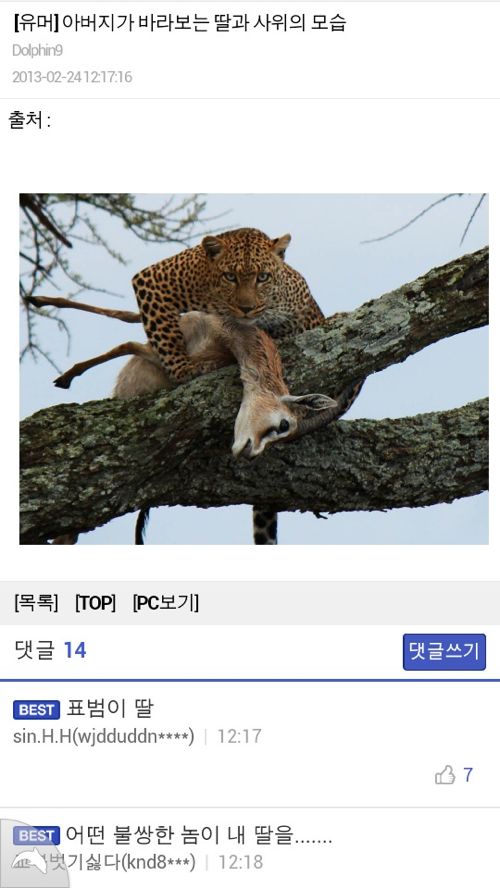 아버지가 바라보는 딸과 사위의 모습