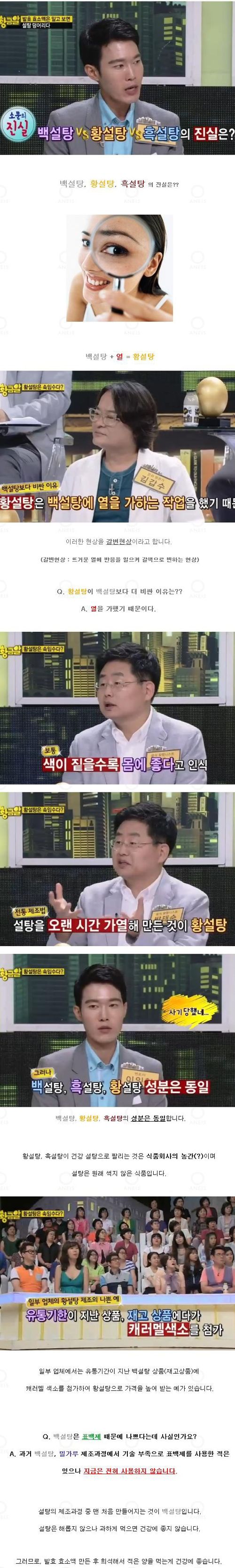 황설탕의 진실.jpg