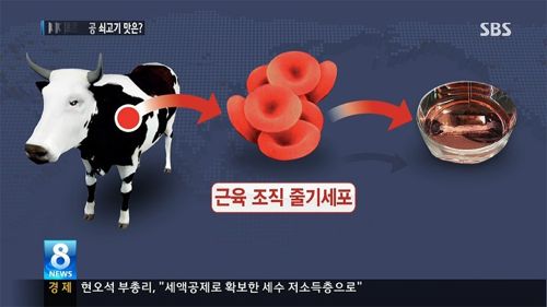 4억원짜리 패티.news