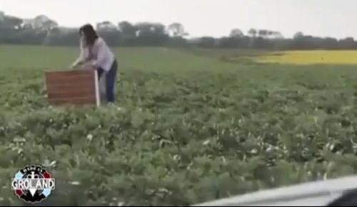 고속도로에서 배 아파도 걱정 없어요