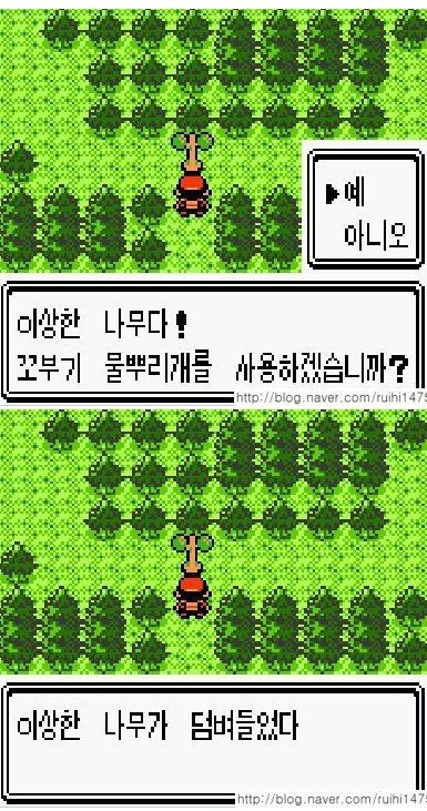 이상한 나무다.jpg