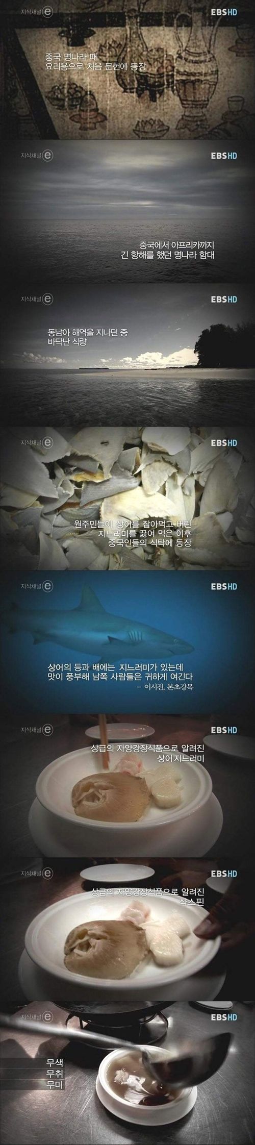 샥스핀의 불편한 진실.e