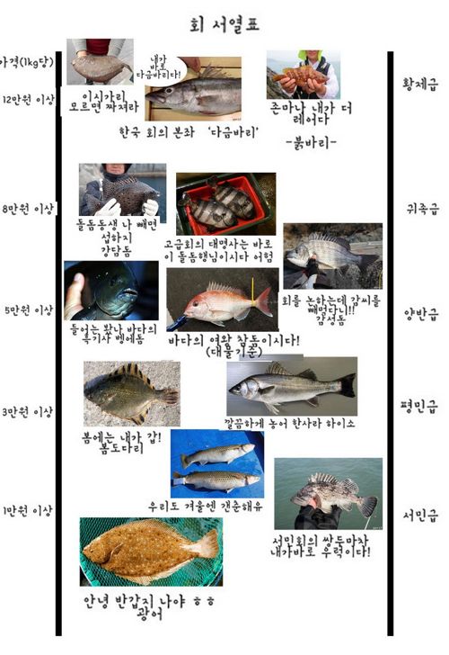 가격에 따른 회 서열