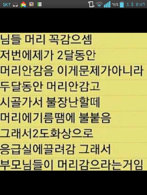 님들 머리 꼭감으셈