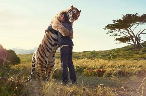 맹수들의 성격이 강아지라면.jpg